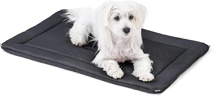 Cybarmour Chew Proof Dog Crate Pad - Outdoor Indestructible Dog Bed - Tough - Potable - Machine Washable - Water & Dirt-Resistant - Small Breeds & Fits 24-Inch Crate - 23"x16", Black