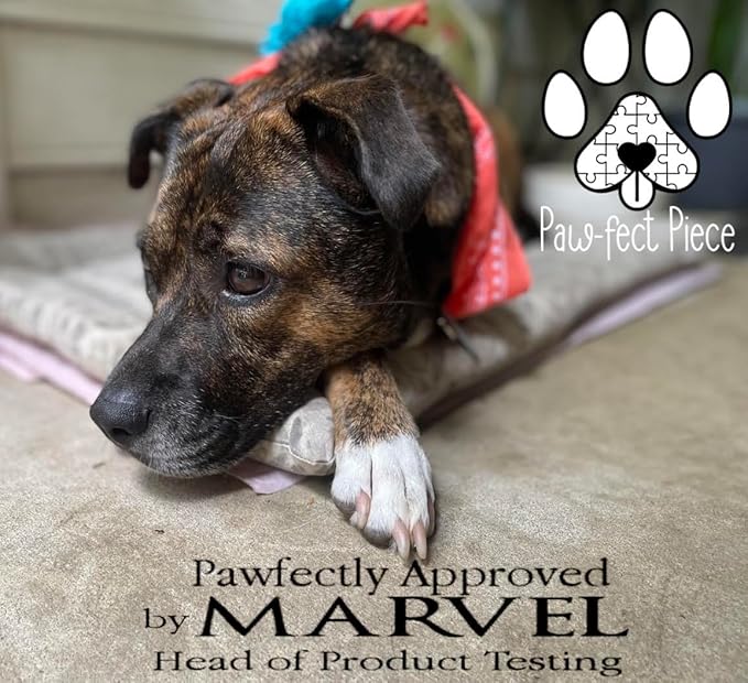 Paw-FECT Piece Birthday Cupcake Dog Toy - Plushy Squeaky Bite Resistant Birthday Gift for Small/Medium/Large Breeds, Unique for Your Dog's Special Day
