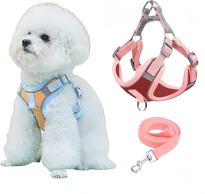 Cats and Small Dogs Harness and Leash for Walking - Escape Proof Soft Adjustable Vest, Breathable with Reflective Strips for Easy Control（Red Pink）