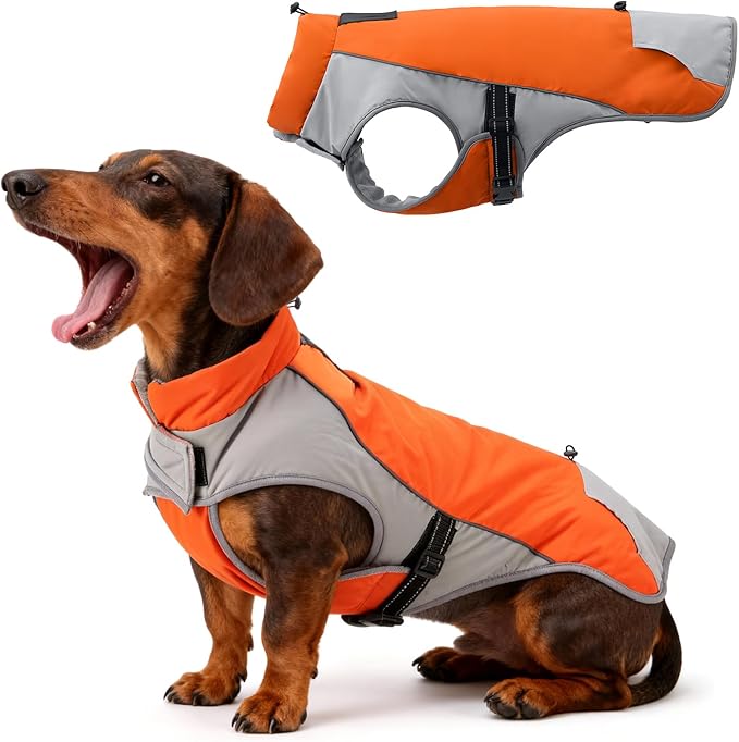 Dog Winter Coat - Waterproof Cold Weather Coat with Thick Padding, Windproof Dog's Snow Jacket with Neck & Tail Drawstrings, Reflective Dog Jacket - Small Pet Coats, Orange & Gray S