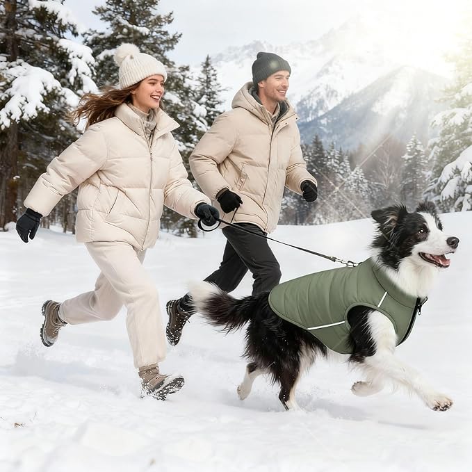 Dog Winter Coat - Waterproof Cold Weather Coat with Thick Padding, Windproof Dog's Snow Jacket with Neck & Tail Drawstrings, Reflective Puppy Jacket - Dog Coats, Olive Green XL
