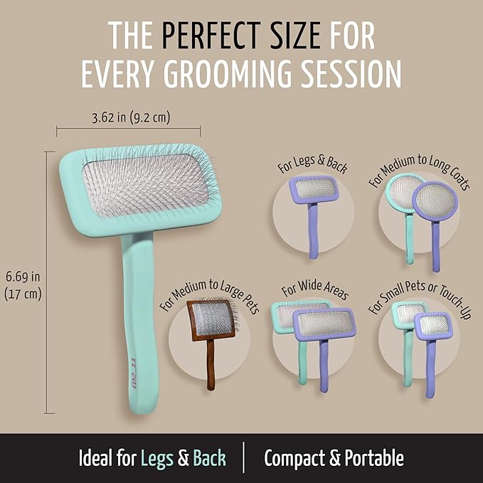 Tauro Pro Line Dog Brush for Shedding - Labradoodle, Goldendoodle or Poodle Long or Medium Hair - Slicker Brush for Dogs & Cat Grooming, Flexible Cushion & Non-Slip Grip (Size M - Mint)