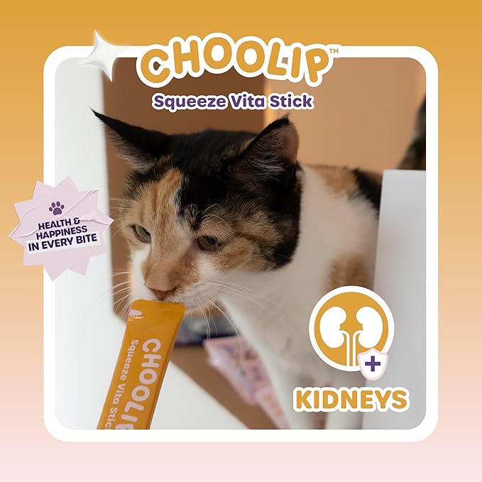 Choolip Squeeze Vita Stick Lickable Cat and Dog Treats – 49-Count Kidney Support Sticks with Multivitamins, Soft Squeezable Paste for All Life Stages, Supporting Kidney Health - Box with 7 Pouches