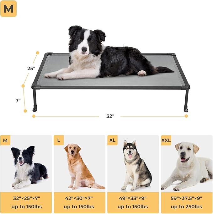 Veehoo Chewproof Elevated Dog Bed - Cooling Raised Pet Cot, Breathable Mesh, Washable & Non-Slip for Medium Dogs, Indoor/Outdoor, Grey Mat and Black Frame, 32x25inches (Model CWC2203A03)