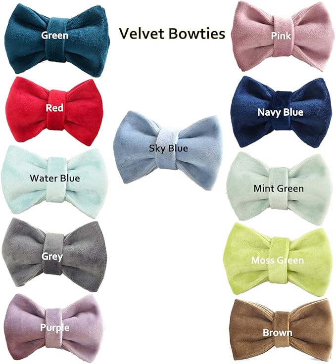 Cat Collar Personalized with Name Engraved and Bell, Customized Velvet Collars for Puppy Kittens (Purple, L)