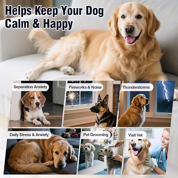 Calming Chews for Dogs 200ct Dog Calming Chews - Anxiety and Stress Relief Treats Melatonin Bites Sleep Aid for Small/Medium/Large Dogs Calm Dog - Separation, Fireworks, Thunder, Barking, Chicken