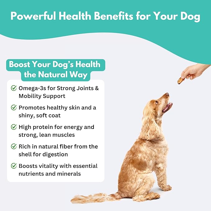 ALFIE'S TREATOS Shrimp Treats for Dogs & Cats (4.24 oz, 2x2.12 oz), Value Bundle, Air-Dried Dog Treats, Food Topper & Training, Australian Wild-Caught, Single Ingredient, Freeze-Dried Alternative