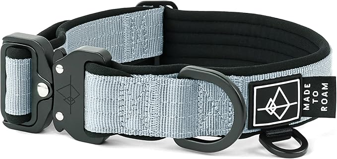 MADE TO ROAM Comfort Collar - Adjustable Nylon Dog Collar with Soft Comfortable Padding, Light Aviation Aluminum Metal Buckle for Small, Medium and Large Dogs (Alaska Daybreak, Size 2)