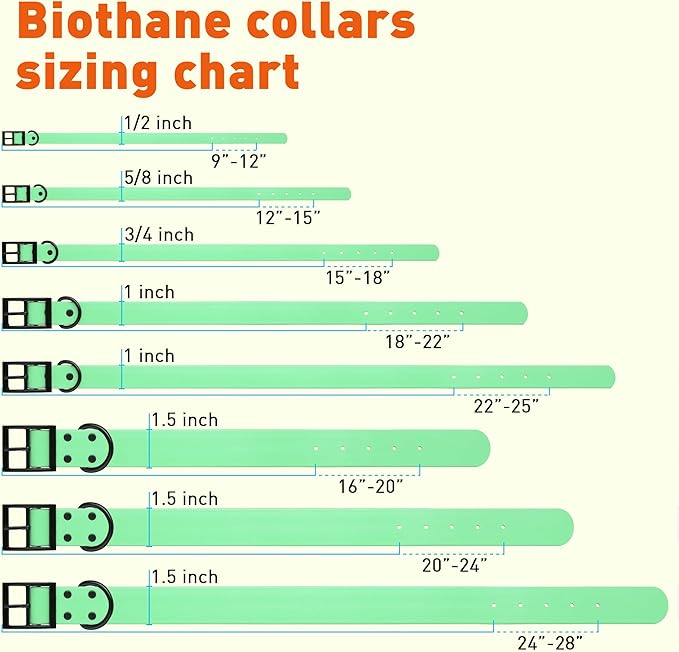 Dogline Biothane Coated Webbing Dog Collar with Black Metal Hardware: Durable Easy-Clean Everyday Collar for Dogs - Comfortable Adjustable Odor-Resistant Pet Collar, W5/8" x L12-15, Sea Foam Green