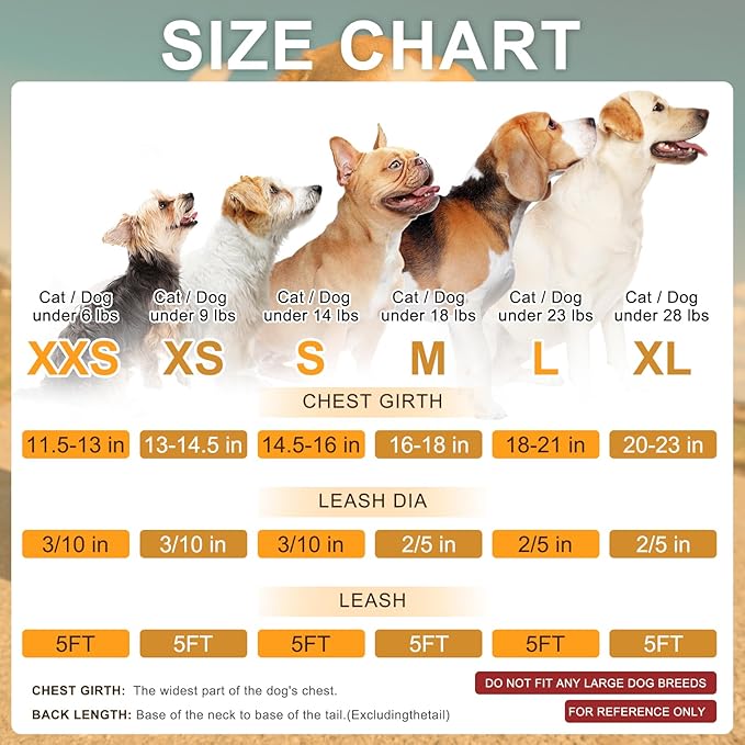 BEAUTYZOO Small Dog Harness and Leash Set,Step in No Choke No Pull Soft Mesh Dog Harnesses Reflective for Extra-Small/Small Medium Puppy Dogs and Cats, Plaid Dog Vest Harness for XS S Pets, Beige L