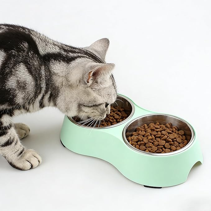 Small Green Double Pet Bowl – Non-Slip Stainless Steel Food & Water Set for Cats, Kittens & Small Dogs, BPA-Free Mess-Free Feeding Dishes