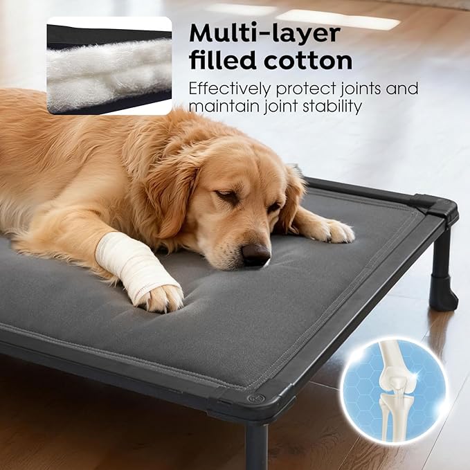 Veehoo Chewproof Elevated Dog Bed, Durable Raised Pet Cot with Soft PP Cotton-Filled Waterproof Mat, Washable Padded Cot for Indoor, Outdoor & Camping, 49-Inch, Grey