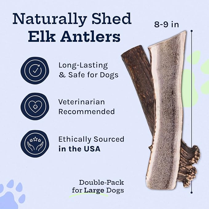 Good Trouble Premium Elk Antlers for Large Dogs – 2 Pack Split - All-Natural, Shed Antler Chews for Dental Health & Calming - Durable Dog Bones - Cruelty-Free, North American Sourced