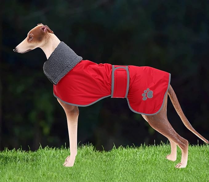 Geyecete Dog Winter Coat Greyhound Raincoat Fabric with Lamb Velvet Inside Outdoor Dog Apparel with Adjustable Bands for Medium, Large Dog-Red-L