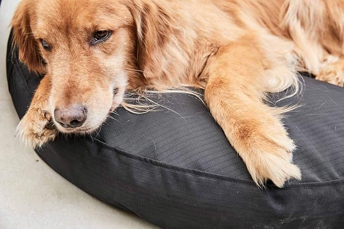 K9 Ballistics Tough Round Nesting Pillow Dog Bed - Removable Cover, Washable, Durable & Water Resistant Indoor/Outdoor Bed - Small, Obsidian Black