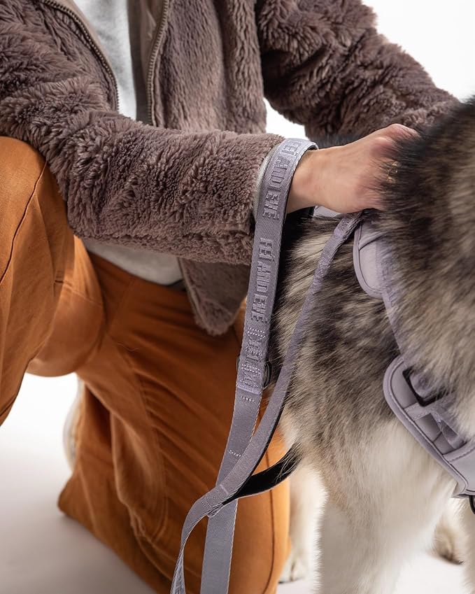 2025 New Edition, Fei & Eve Classic Dog Leash - 4FT, Dual Padded Handles, 360° Swivel Hook, Heavy Duty 210D Nylon - No-Pull Design with Traffic Control Handle - for Small/Medium/Large Dogs, Gray