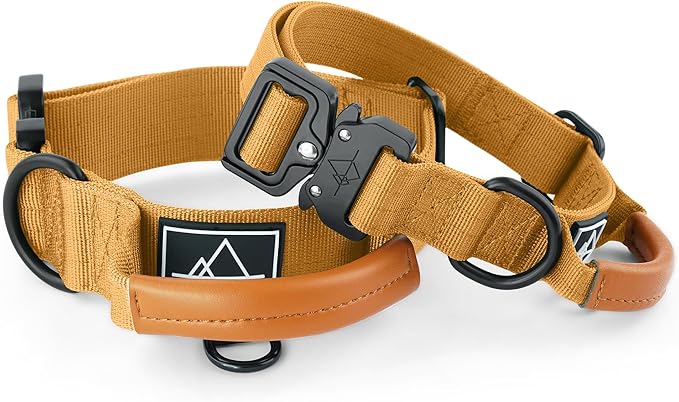 ROAM Made to ROAM Premium Explorer Control Collar - Adjustable Heavy Duty Nylon Dog Collar with Quick-Release Metal Buckle and Leather Handle (Michigan Autumn, Size 3, Control)