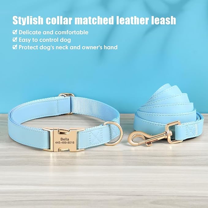 PET ARTIST Personalized Dog Collars, Custom Engraved Dog Collar with Silent Name Tag, Gold Quick Released Buckle & Soft Nylon Padded, Elegant Colors & Matching Leash for Medium Dogs,Blue,M Fit 13-19"