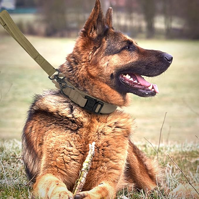 Tactical Dog Collar and Leash Set Heavy Duty Military Dog Collar with Handle and Metal Buckle for Medium and Large Dogs (Brown, L)