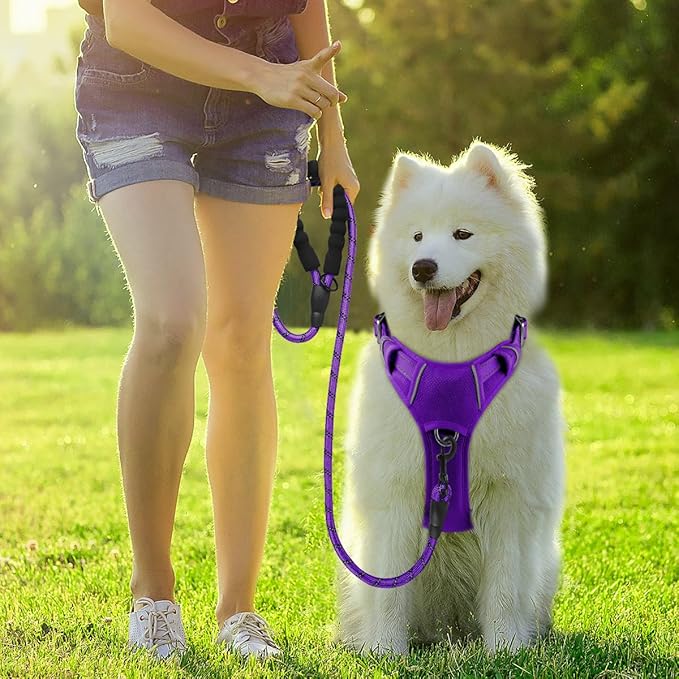 BARKBAY Dog Harness No Pull with ID Tag Pocket - Heavy Duty, Reflective, Easy Control for Small Dogs(Purple,S)