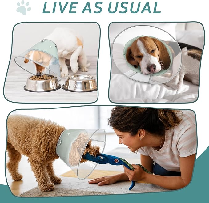 Dog Cone Collar with Snap-on Detachable Soft Liner, Lightweight Transparent Elizabethan Alternative to Stop Licking, for Spay Neuter Surgery Recovery, for Medium Large Small Dogs (Green,2XL)