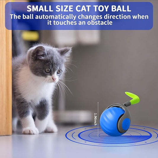 LUPAPA Interactive Cat Ball Toy with Feather, Smart Ball for Indoor Cats, Motion Activated Automatic Cat Toys, USB Rechargeable Toys, Blue