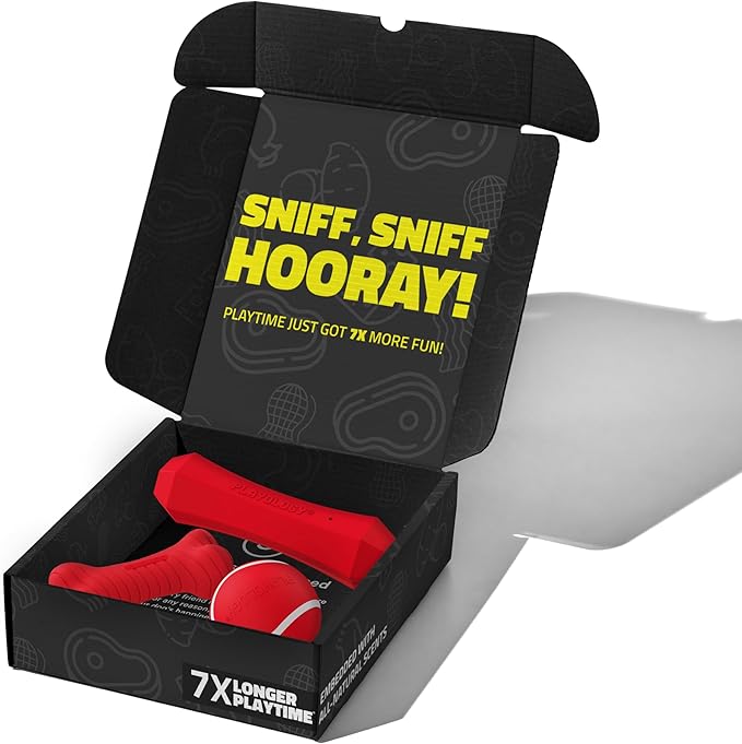 Playology Dog Toys | Variety Gift Box Set of Toys for Medium Dogs | Medium Beef Scented Dual Layer Bone, Squeaky Chew Ball, and Chew Stick - Easy to Clean and Made from Non Toxic Material