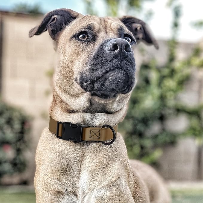 Dogline Durable Biothane Waterproof Collar for Dogs - Odor-Resistant Coated Webbing, Quick-Release Design, Comfortable Adjustable Fit, 1" W by 15-25" L, Coyote Brown