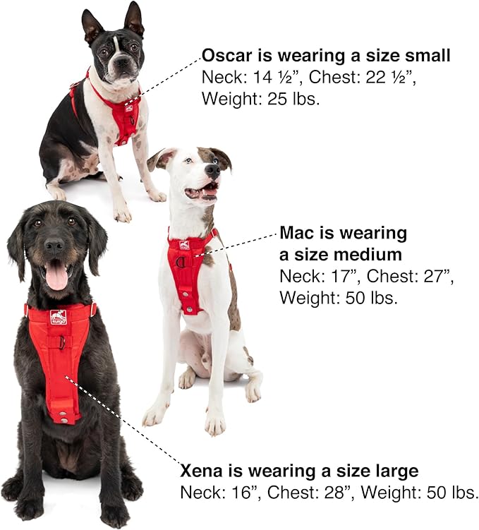 Kurgo Enhanced Strength Tru-Fit Dog Car Harness - Pet Travel Safety Harness - Crash Test Certified Fit - Five Point Adjustment - Secure Buckle - Padded Chest - Black - Small