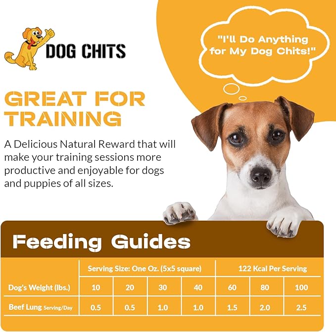 Dog Chits Beef Lung Fillets Dog and Puppy Treats - All Natural Grain and Chemical Free Training Chews - High Protein and Low Fat - Supports Dental Health - Made in The USA - Large 5 oz Bag