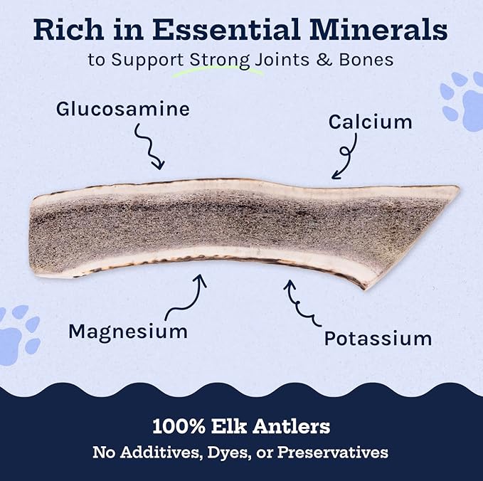 Good Trouble Premium Elk Antlers for Large Dogs – 1 Pack Split - All-Natural, Shed Antler Chews for Dental Health & Calming - Durable Dog Bones - Cruelty-Free, North American Sourced