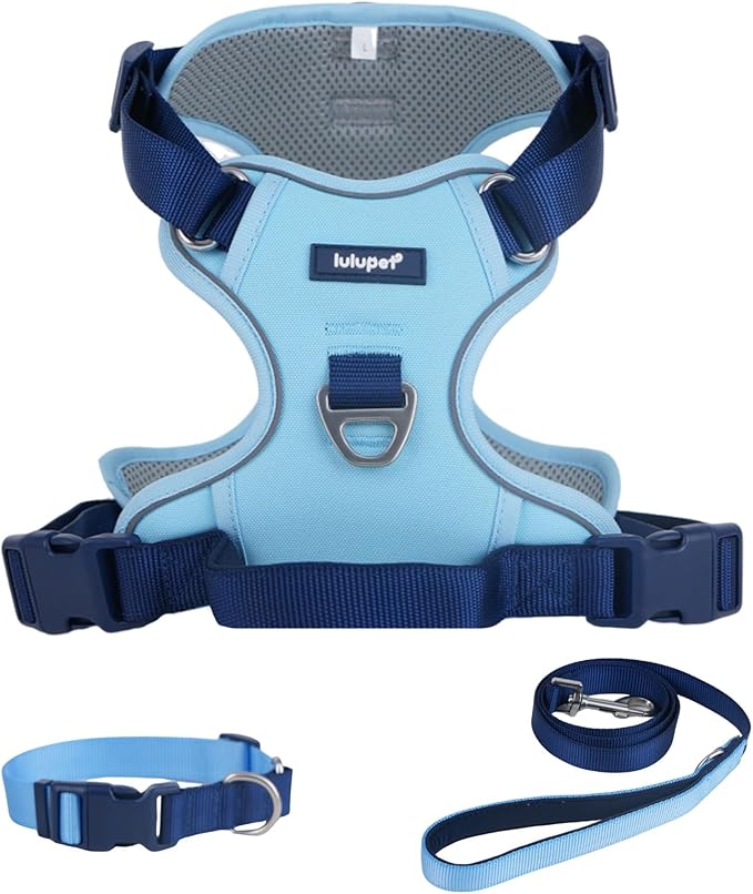 No Pull Dog Harness Leash and Collar Set, Adjustable Dogs Vest with Reflective Strip Soft Handle for Small Medium Large Sized Dog Blue