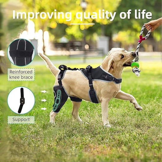 Dog Knee Brace for ACL/CCL Injuries,Torn Ligament,Pain Relief,Joint Warmth,Luxating Patella - Rear Leg Support,Black,Upgraded,Right Legs,XL