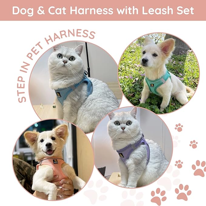 BELLA & PAL Step in Vest Harness for Small and Medium Dogs, No Pull Small Dog Harness with Leash Set, Comfortable Air Mesh Dog Vest Harness with Reflective Strip (Coral Pink, XXS)
