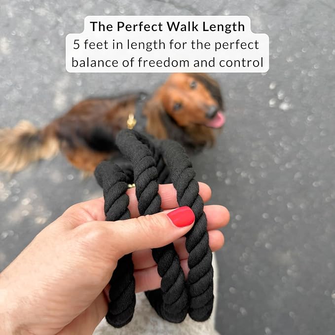 DJANGO Cotton Rope Dog Leash 5ft – Handcrafted Dog Leash and Black Braided Leash for Small, Medium, and Large Dogs – Durable 5 Foot Training Lead with Gold Hardware and Whipped Ends – Black