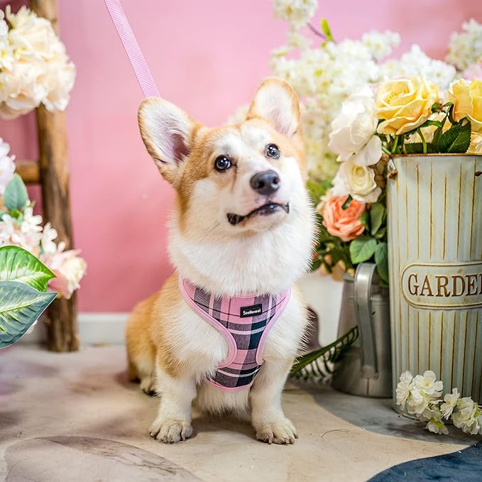 SCENEREAL Puppy Dog Harness with Leash Set for Small Medium Sized Dogs, Soft Mesh Step in Pet Harnesses and Leash, No Chock Plaid Adjustable No Pull Vest for Dogs Cats, Chihuahua,Bulldog (Pink S)