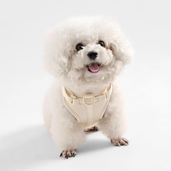 HNS1000L Arlo Extra Small Adjustable Soft Padded No Pull Pet Harness with 3 Buckles and 3 Leash Clips, Bailey