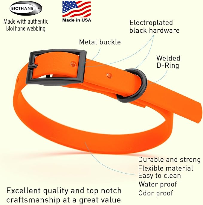 Dogline Biothane Coated Webbing Dog Collar with Black Metal Hardware: Durable Easy-Clean Everyday Collar for Dogs - Comfortable Adjustable Odor-Resistant Pet Collar, W1/2" x L9-12, Hunter Orange