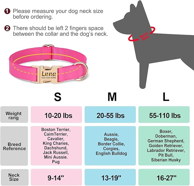 PET ARTIST Personalized Dog Collars, Custom Dog Collar with Engraved Silent Name Tag, Gold Quick Released Buckle & Soft Nylon Padded, 9 Colors & Matching Leash for Small Dogs,Purple,S Fit 9-14"