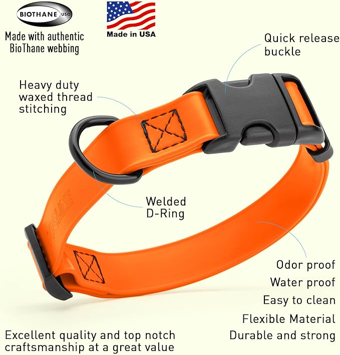 Dogline Durable Biothane Waterproof Collar for Dogs - Odor-Resistant Coated Webbing, Quick-Release Design, Comfortable Adjustable Fit, 5/8" W by 10-14" L, Hunter Orange