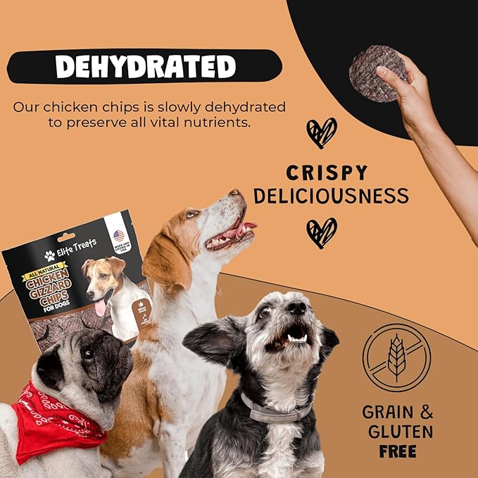 Chicken Gizzard Chips: Dogs All Natural Training Treats | Made in USA | Single Ingredient | Healthy Treats | for Puppies, Small, Medium & Large Breeds (Chicken Gizzard Chips 6 oz)
