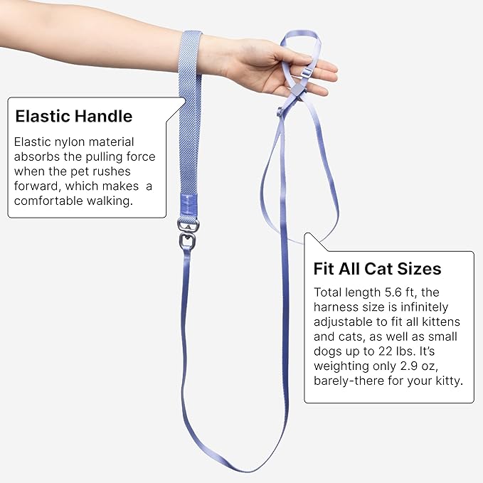 Cat Harness and Leash 2-in-1, Escape Proof Anti-Chocking Harness Adjustable Lighweight Leash for Walking Outoor Training for Kitten Small Large Cats Puppy, US IDA Bronze Award (Space Gray)