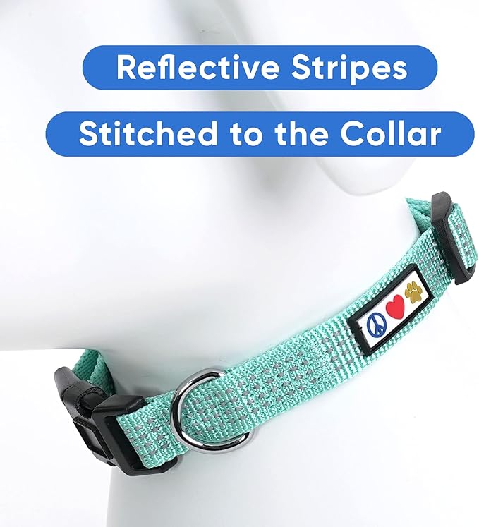 Pawtitas Reflective Dog Collar Adjustable Dog Collars for Small Dogs Puppy Collar Small Dog Collar Teal Dog Collar