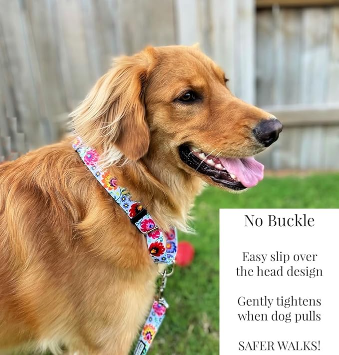 Lucky Love Dog Martingale Dog Collar & Leash - Adjustable, No-Slip, Durable, Comfortable, Soft Webbing, & Stylish Patterned Collar & Leash Set for Male and Female Dogs - Ladybird Combo, Small