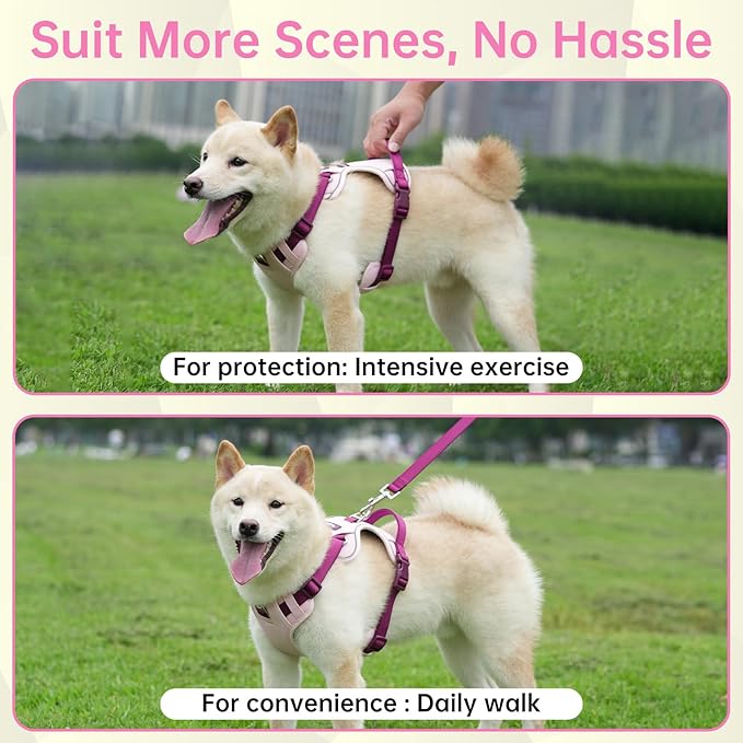 No Pull Dog Harness Leash and Collar Set, Adjustable Dogs Vest with Reflective Strip Soft Handle for Small Medium Large Sized DogPink