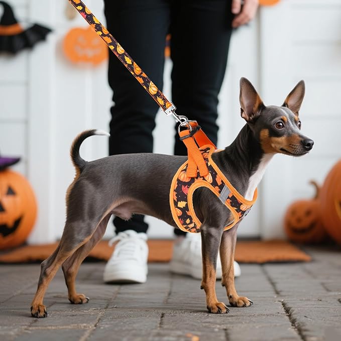 KOOLTAIL Fall Dog Harness and Leash Set for Small Medium Dogs, Thanksgiving Step in No Pull Comfort Padded Pet Vest, Adjustable Reflective Easy Walking Puppy Cats Harness Training, Leaf & Pumpkin S