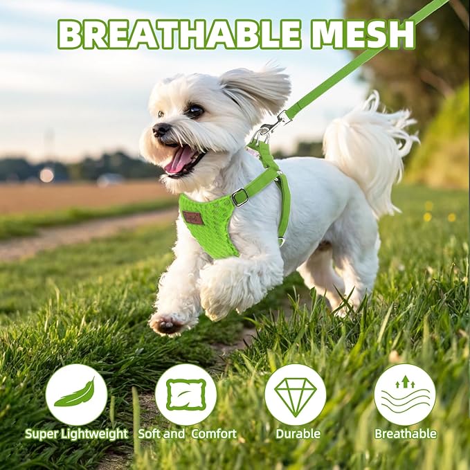 PUPTECK Dog Harness and Leash Set Small Sized, Step-in Cute Puppy Harness, Soft Lightweight Padded Vest, Escape Proof No Pull Pet Harnesses Easy for Walking, Green, XXS