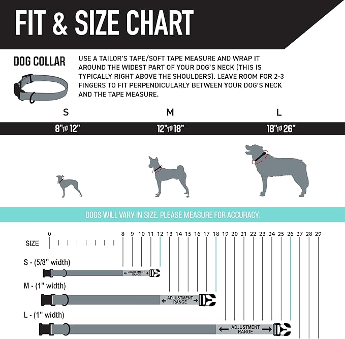 Wolfgang Heavy Duty, Adjustable Dog Collar with Quick Release Nylon Buckle for Walking & Training, SunsetPalms Print, Small