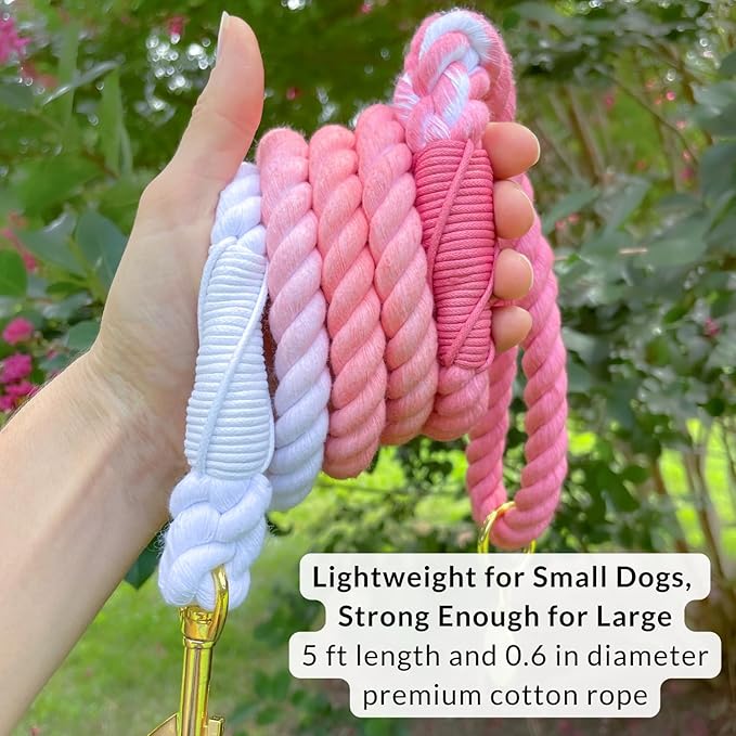 DJANGO Cotton Rope Dog Leash 5ft – Handcrafted Dog Leash and Pink Ombre Braided Leash for Small, Medium, and Large Dogs – Stylish and Durable 5 Foot Training Lead with Silver Hardware – Quartz Pink
