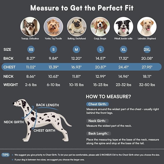 Queenmore Dog Sweater, Soft Fleece Vest Dog Jacket with Elastic Stretchable, Warm Turtleneck Pullover Design for Boy Girl Pet, Dachshund,Doggie, Cat, Kitten Chihuahua Bulldog Pug Beagles (Grey, 2XL)